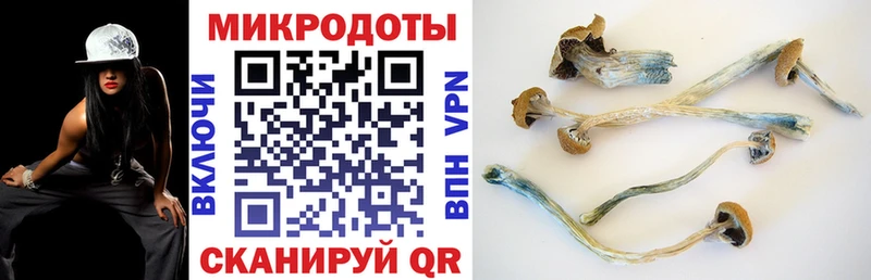 Галлюциногенные грибы GOLDEN TEACHER  Купить где  Смоленск 